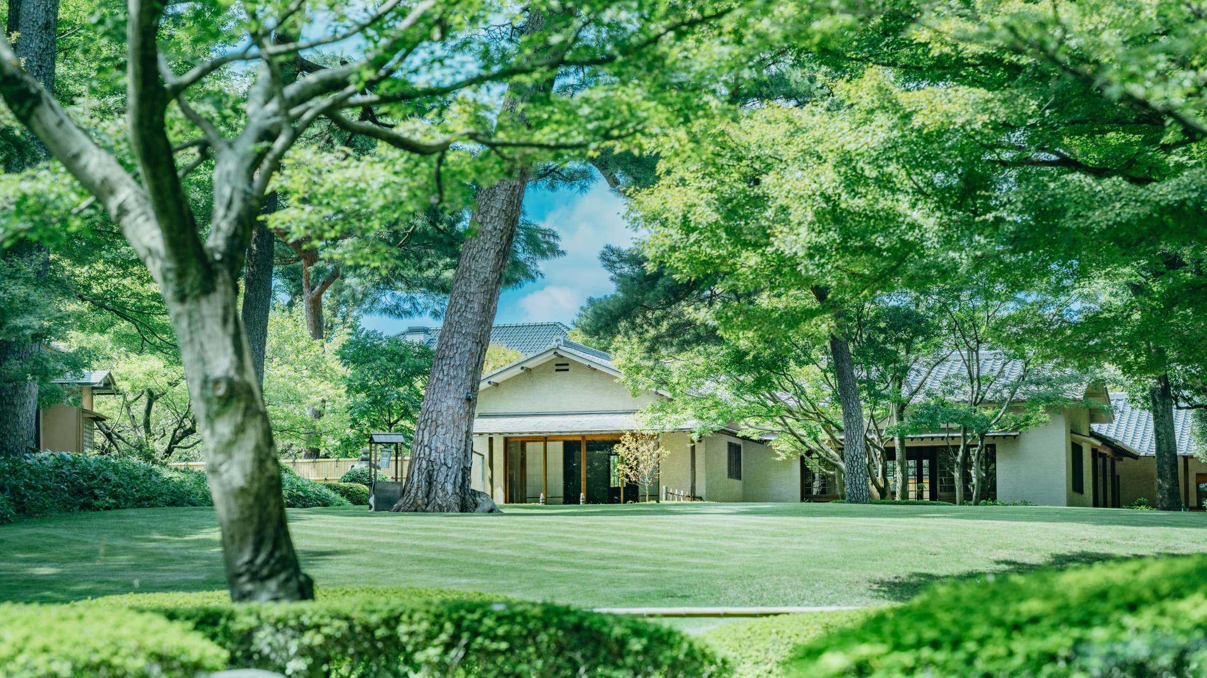 大田 黑 公園